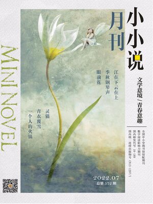 cover image of 小小说月刊2022年第13期